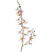 Cattleya orchidee 82 cm kunstbloem zijde nepbloem I