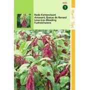2 stuks - Amaranthus Caudatus Rood