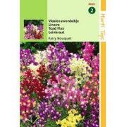 2 stuks - Linaria Maroccana Fairy Bouquet Gem.