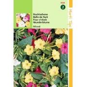 2 stuks - Mirabilis Jalapa Gemengd