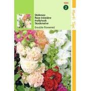 2 stuks - Althaea Rosea Fl.Pl. Chater S Gemengd