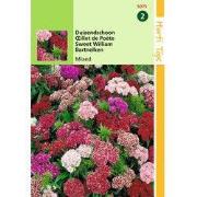 2 stuks - Dianthus Barb. Nanus Compactus Dubbel Gemengd