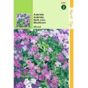 2 stuks - Aubrietia Hybrida Grandiflora Gemengd