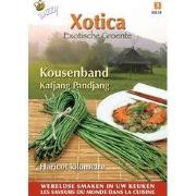3 stuks - Xotica kousenband