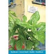 3 stuks - Basilico italiano classico