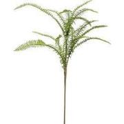 Fern boston mix spray 60 cm