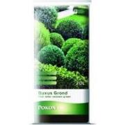 Pallet Mini Buxus Grond 480 liter