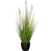 Mica Decorations Eremurus – Kunstgras in Pot – Realistische Nepplant W...