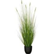 Mica Decorations Eremurus – Kunstgras in Pot – Realistische Nepplant W...