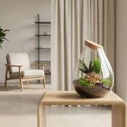 URBANJNGL - Drop XXL Rood - Planten Terrarium met kurk - DIY kit - Eco...