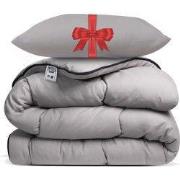 Avenue – Dekbed zonder overtrek 200x200 cm Taupe + Hoofdkussen 60x70 c...