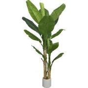 Bananenplant 2-stam 210 cm kunstplant
