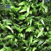 Kunstplanten mat 50x50 cm lavendel groen/paars