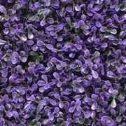 Kunstplanten mat 50x50 cm pittoso paars