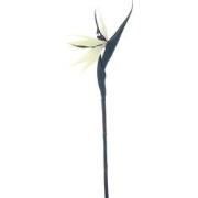 Strelitzia creme/paars 84 cm kunstbloem