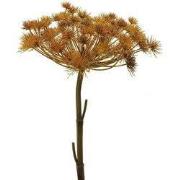 Giant heracleum bruin 98 cm kunstbloem