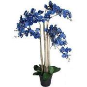 Phalaenopsis Orchidee in pot 110 cm Blue kunstplant