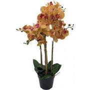 Phalaenopsis Orchidee in pot x5 60 cm Tiger Yellow kunstplant