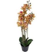 Phalaenopsis Orchidee in pot x3 60 cm Tiger Yellow kunstplant