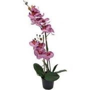 Phalaenopsis Orchidee in pot x2 50 cm Tiger Cerise kunstplant