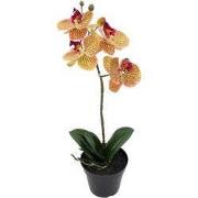 Phalaenopsis Orchidee in pot x1 50 cm Tiger Yellow kunstplant