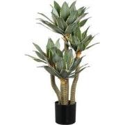 PTMD - Kunstplant Succulent - Groen - 60x60x115cm