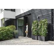 vivo next vierkant 30cm