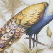 Sierkussen ca. 50x50 cm Flore purple (4 stuks)