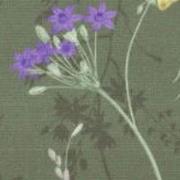 Luxe zitkussen ca. 40x40 cm Donna green canvas Eco plus natural outdoo...