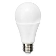 Flos - Lichtbron LED 21W (2200lm) A65 2700K E27 Greenplux