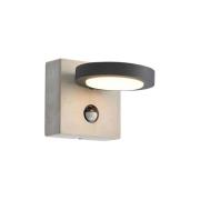 Lucande - Belna Sensor LED Buiten Wandlamp Grey