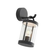 Lucande - Cassian Buiten Wandlamp IP54 Dark Grey