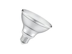 Dura Lamp - Lichtbron LED 8W (633Lm) Par30 E27 Dimbaar Osram