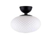 Globen Lighting - Jackson Plafondlamp White/Black