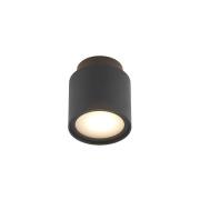 Arcchio - Walisa Plafondlamp Black/Frosted