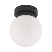 Lindby - Tavino Plafondlamp Black