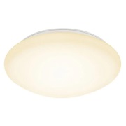 Halo Design - Basic LED Plafondlamp Ø38