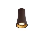 Trizo21 - Naga Plafondlamp Zwart/Goud