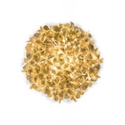 Slamp - Clizia Plafond-/Wandlamp Mama Non Mama Large Gold