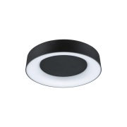 Paulmann - Casca plafondlamp Ø40 IP44 mat zwart
