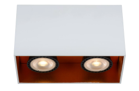 Lucide Bido - opbouwspot - 16,5 x 8,3 x 9,5 cm - wit en messing