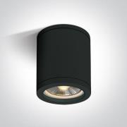 ONE Light PAR30 Outdoor - opbouwspot 1L - Ø 12,2 x 16 cm - IP65 - zwar...