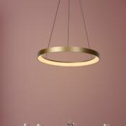 Lucide Vidal - hanglamp - Ø 58 x 70 cm - 50W LED incl. - mat goud/mess...