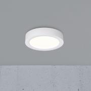Nordlux Sóller 12 - plafondlamp - Ø 12,9 x 2,5 cm - 7,5W dimbare LED i...